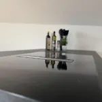 Exklusiv Am Lech Ihre Premium-ferienwohnung